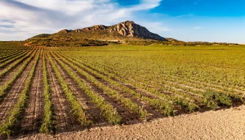 DJI_20250919185846_0017_D_TOMMY